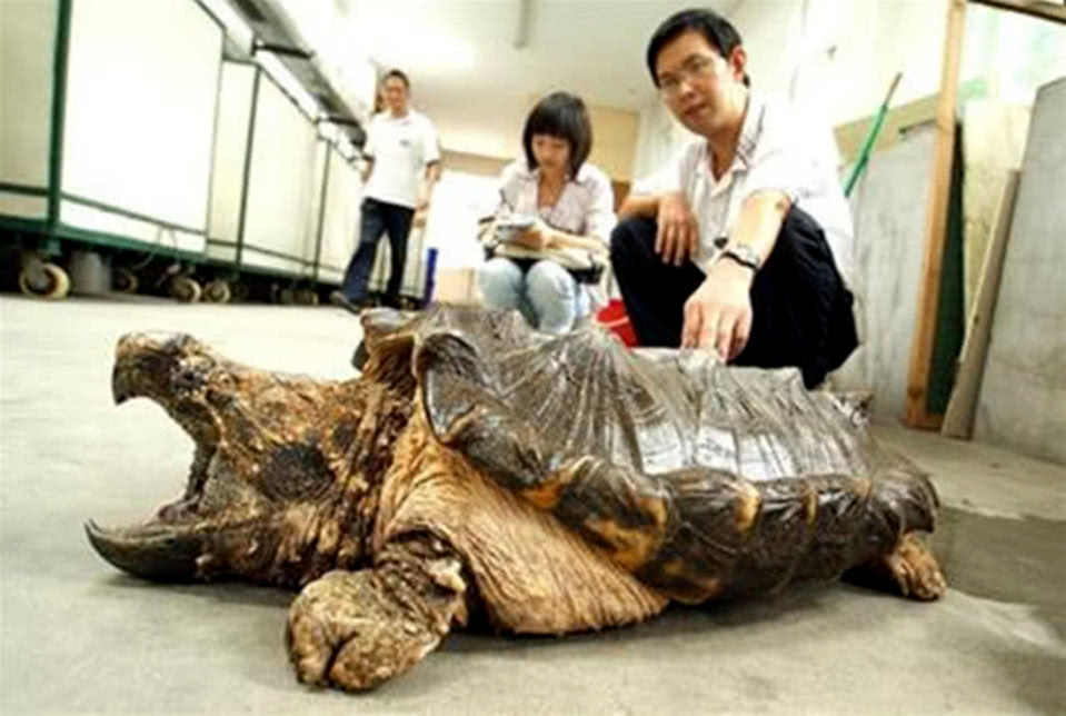 地方新闻 第112页