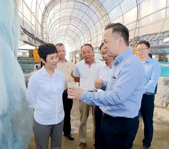 港澳新闻 第44页
