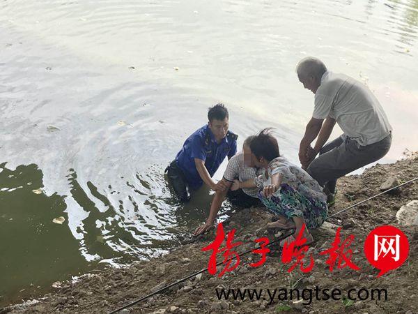 游戏专题 第9页