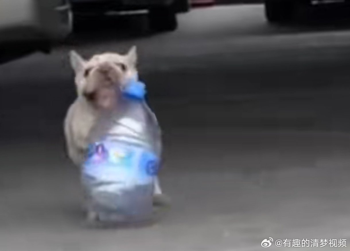 游戏专题 第75页